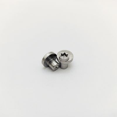 偏心ロッキングピン 316ステンレス鋼 トルクス偏心ネジ ±0.3-1.0mm オフセット 電解研磨