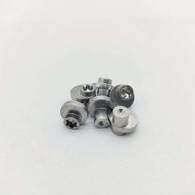 偏心ロッキングピン 316ステンレス鋼 トルクス偏心ネジ ±0.3-1.0mm オフセット 電解研磨