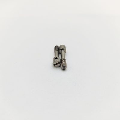 電気メーター用304ステンレス鋼スロット付き鉛シールネジ M4 M5 M6