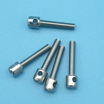 M3 M4 M5 亜鉛メッキリードシールねじ メーターねじ カバーボルト 穴あきボルト 10mm-40mm 長さ