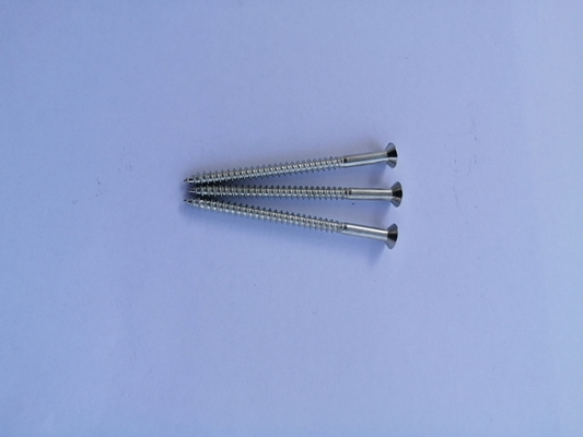 不動態化されたStainless Steel Self Tapping Screws Fastenal 11X70