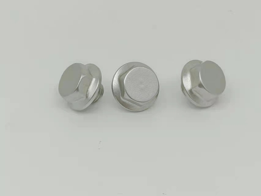 装飾的なステンレス鋼の小ネジM8X5.5 Nickelplated六角形