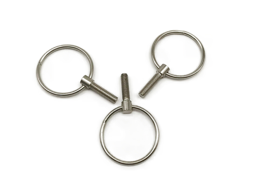 Forging冷たいStainless Steel Eye Bolt Screw M5X18 M6x16 Gildedのクロム