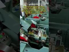 M5x6 ステンレス鋼 オバルヘッド マシンスクリュー 8.38g スロットチーズヘッドスクリュー